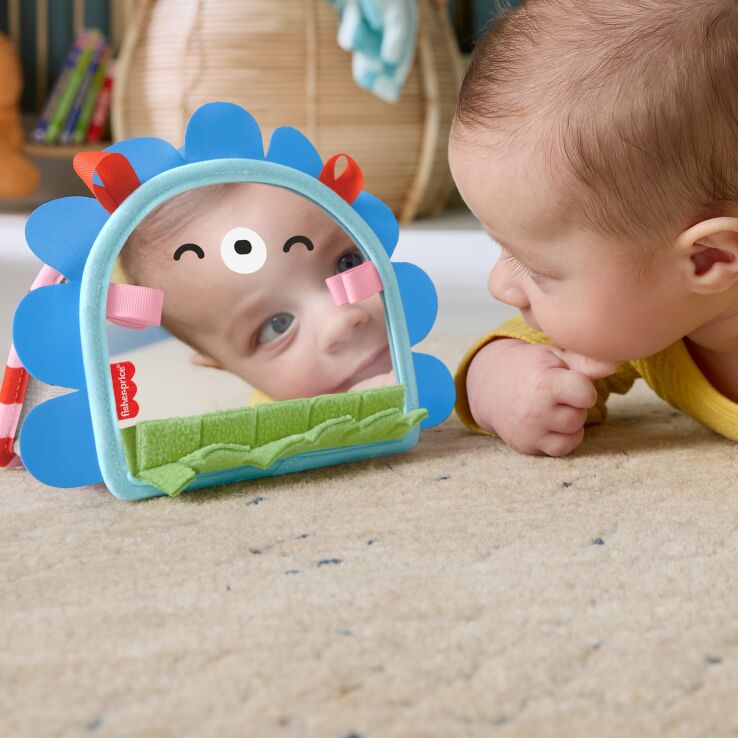 Fisher Price Καθρεφτάκι-Σκαντζοχοιράκι (JHB45) (3)