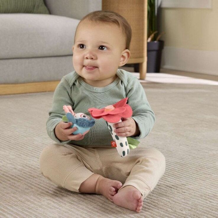 Fisher Price Κουδουνίστρα Λουλουδάκι-Μελισσούλα (HYR56) (4)