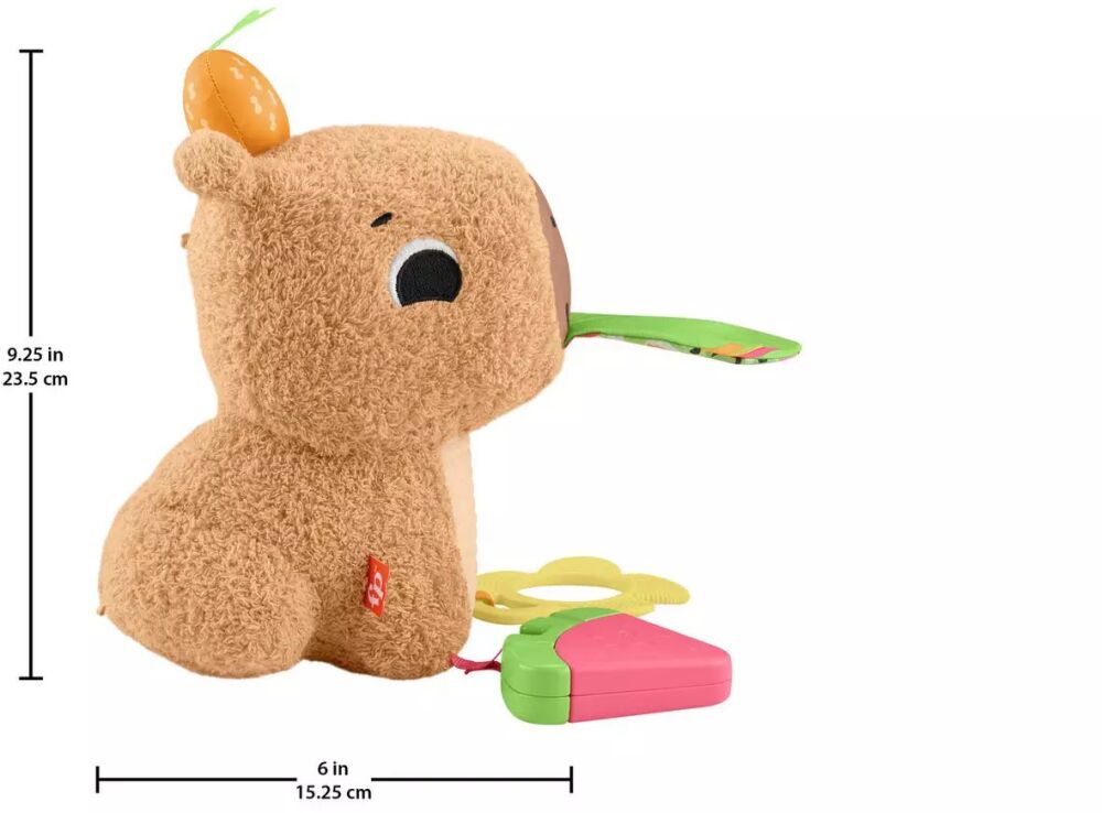 Fisher Price Μαλακό Καπιμπάρα Δραστηριοτήτων (HYR54) (2)