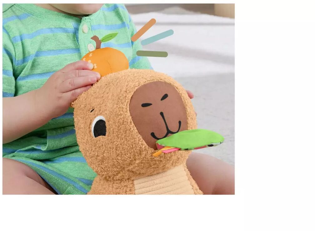 Fisher Price Μαλακό Καπιμπάρα Δραστηριοτήτων (HYR54) (4)