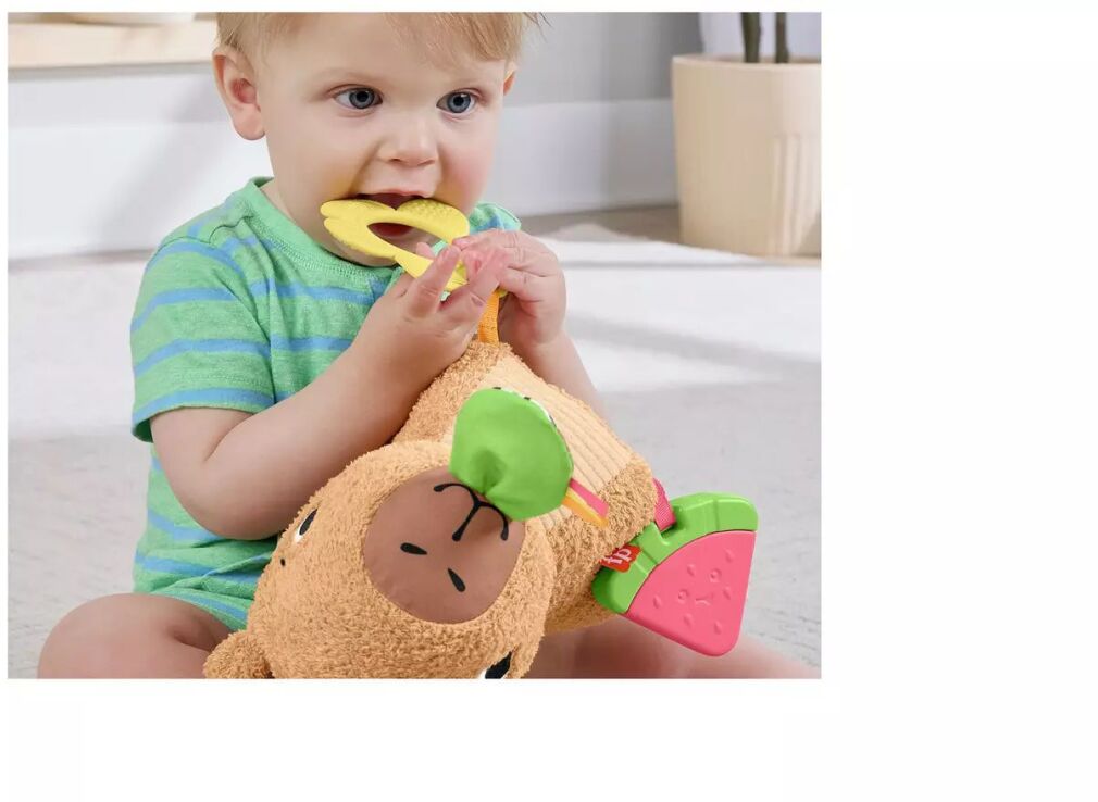 Fisher Price Μαλακό Καπιμπάρα Δραστηριοτήτων (HYR54) (5)