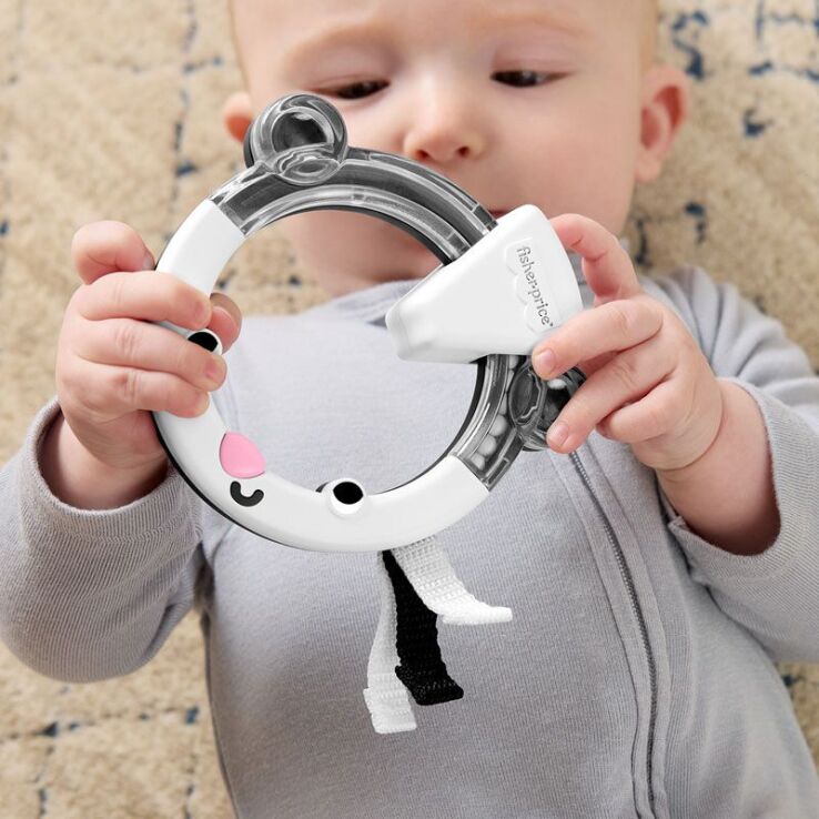 Fisher Price Κουδουνίστρες Ζωάκια-4 Σχέδια (JKW53) (9)