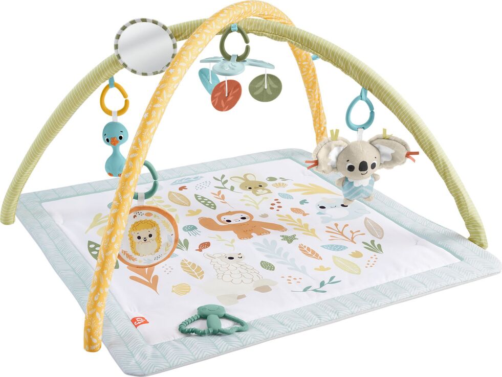 Fisher Price Γυμναστήριο Δραστηριοτήτων-Simply Senses (JMN74) (0)