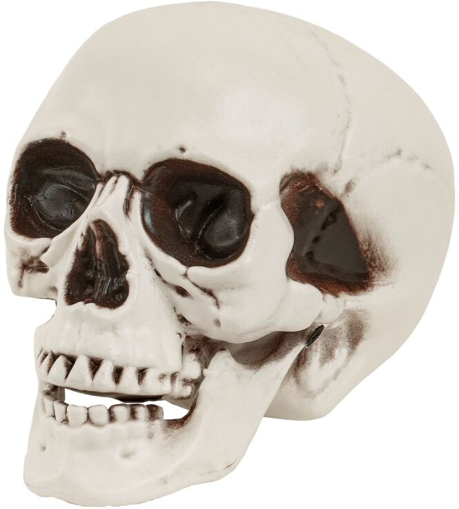 WM Νεκροκεφαλή 12cm (65021) (0)