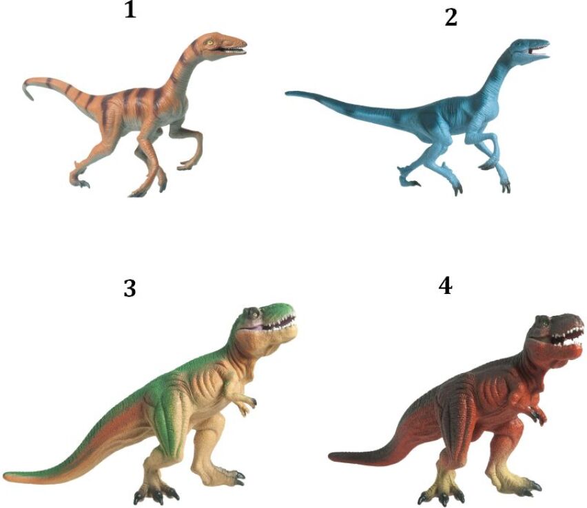 TMT Δεινόσαυρος Jaw 10-12"-4 Σχέδια (DT2420) (1)