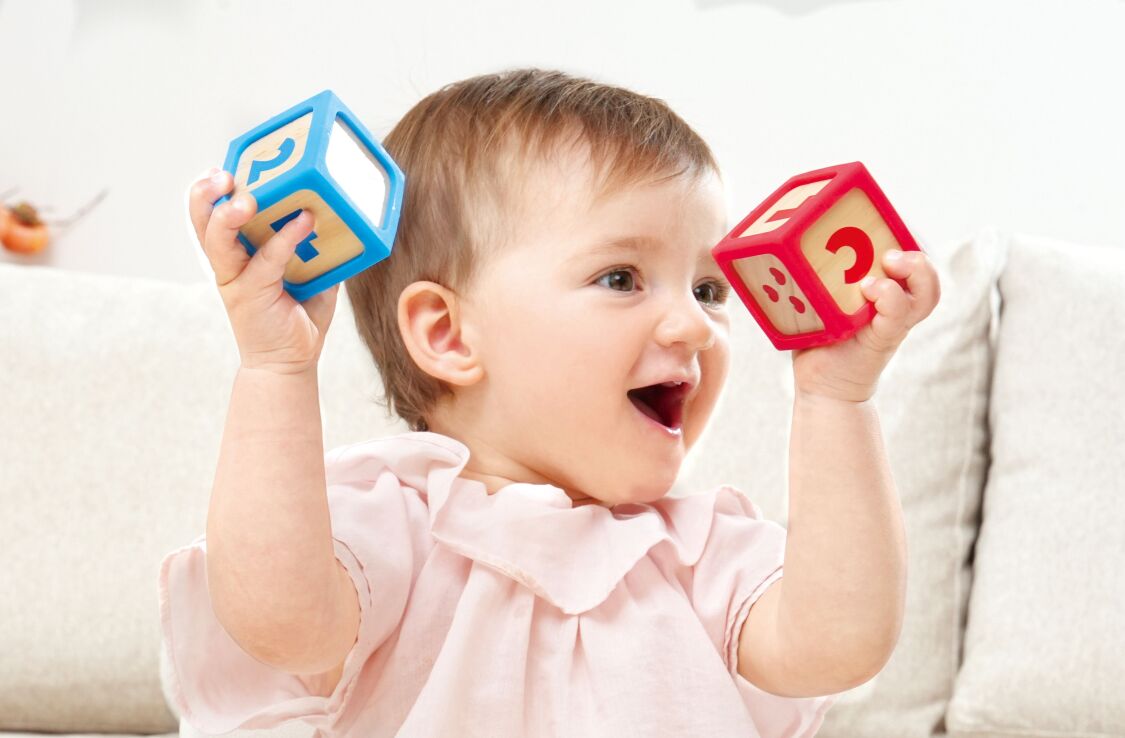 Hape Early Explorer Ξύλινα Τουβλάκια Smart Start 10Τμχ (E0131K) (4)