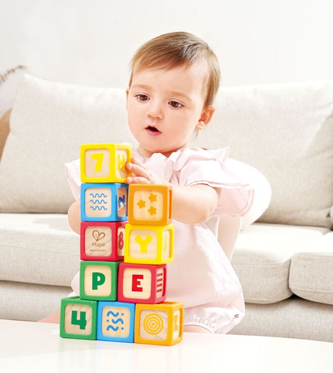 Hape Early Explorer Ξύλινα Τουβλάκια Smart Start 10Τμχ (E0131K) (5)