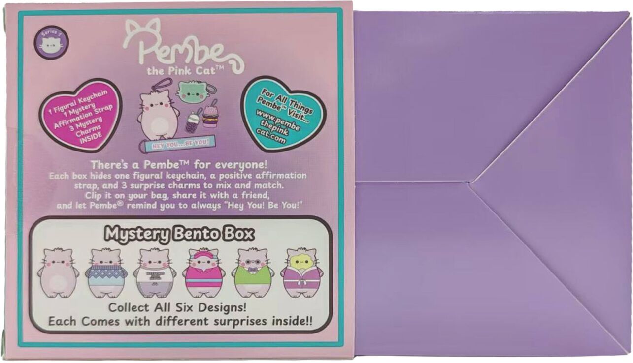 BGL Pembe Σετ Mystery Box-6 Σχέδια-1Τμχ (40313) (4)