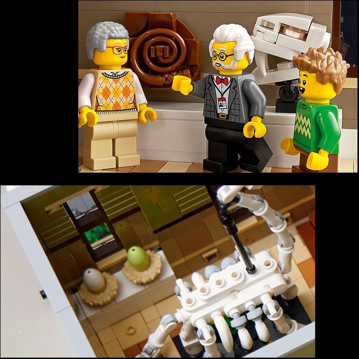 LEGO Icons Natural History Museum (10326) (3)