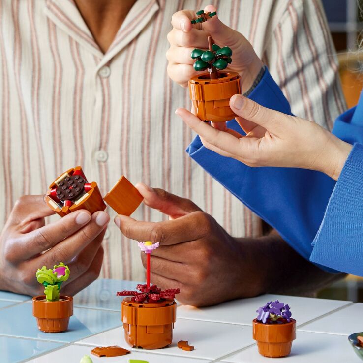 LEGO® Icons Botanicals Tiny Plants (10329) (3)