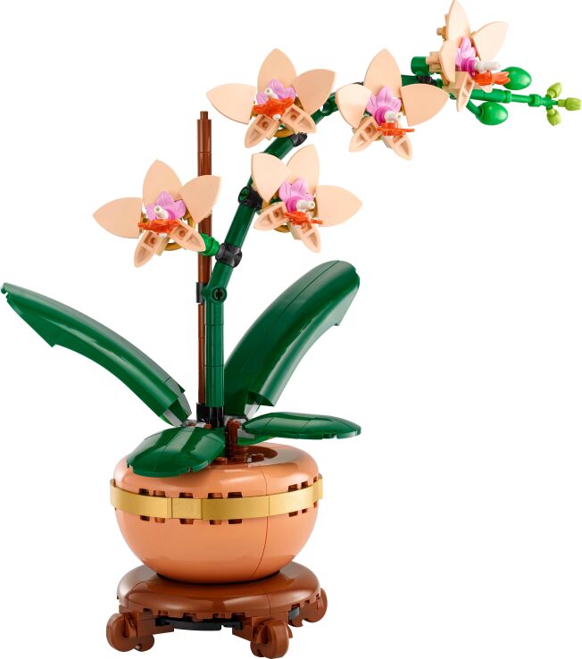 LEGO® Botanicals Mini Orchid (10343) (1)
