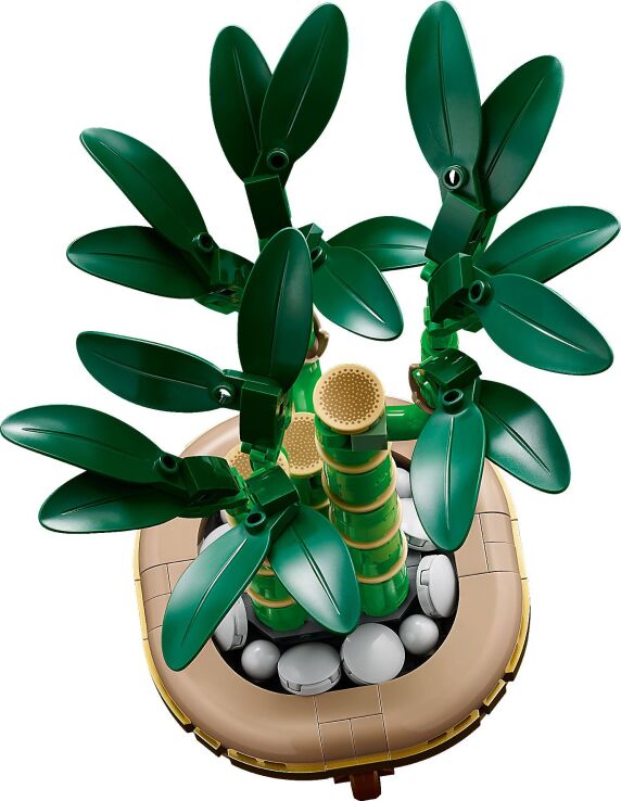 LEGO Botanicals Lucky Bamboo (10344) (6)