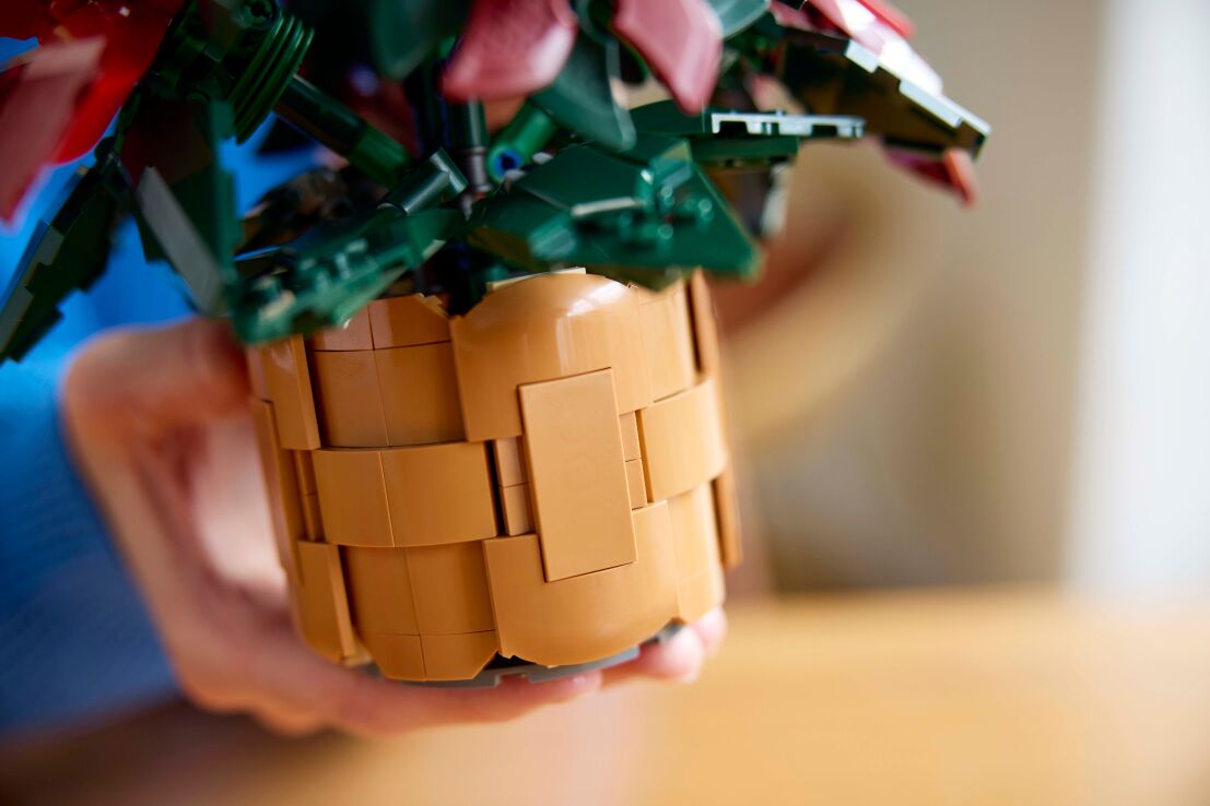 LEGO® Icons Botanicals Poinsettia (10370) (5)