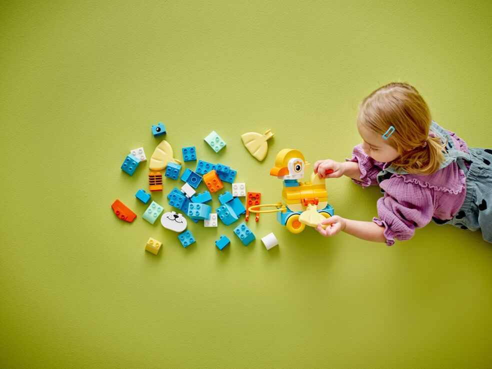 LEGO Duplo 3in1 Animals On Wheels (10448) (5)