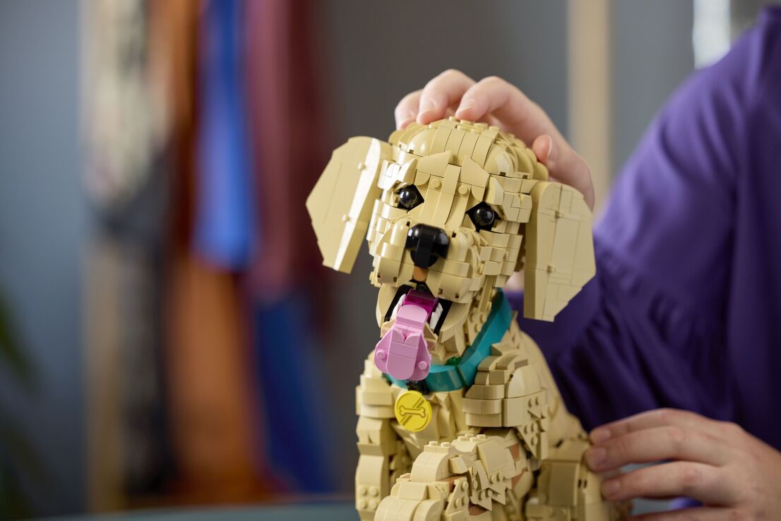 LEGO Icons Golden Retriever Puppy (11384) (10)