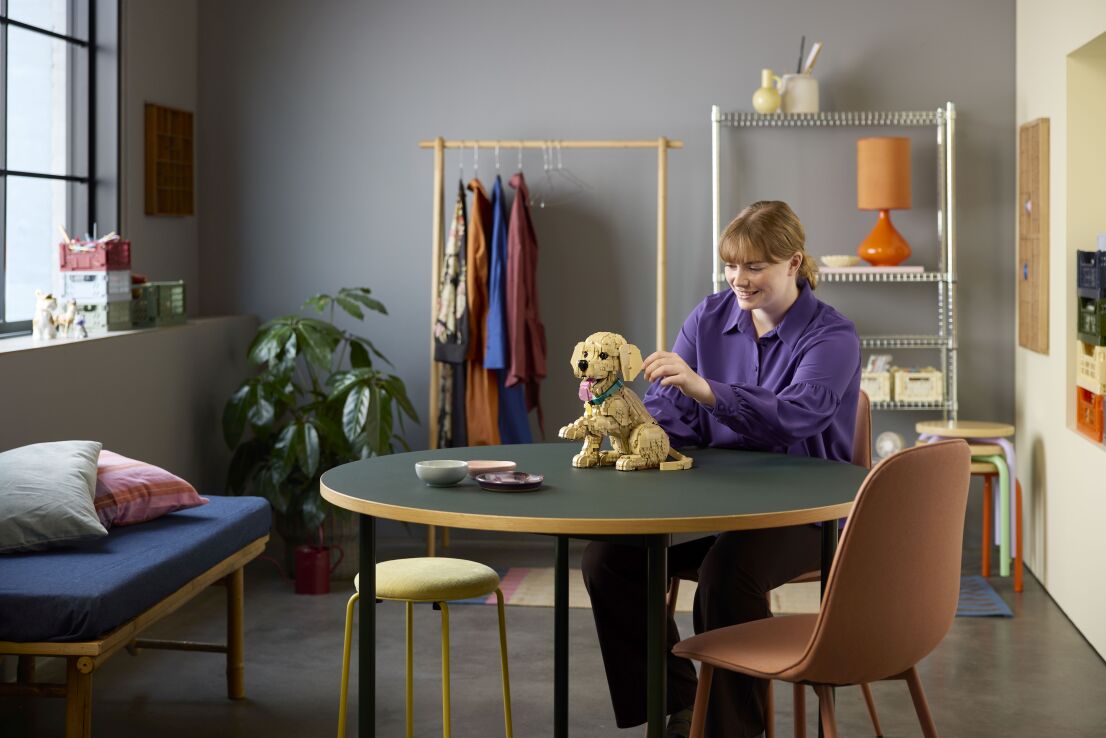 LEGO Icons Golden Retriever Puppy (11384) (13)