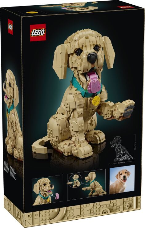 LEGO Icons Golden Retriever Puppy (11384) (16)
