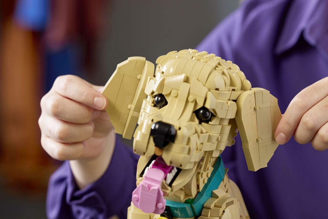 LEGO Icons Golden Retriever Puppy (11384) (8)