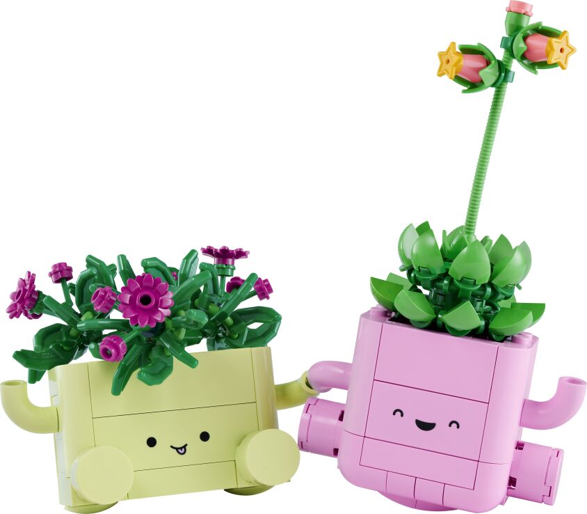 LEGO® Botanicals Rocking Plants (11506) (1)