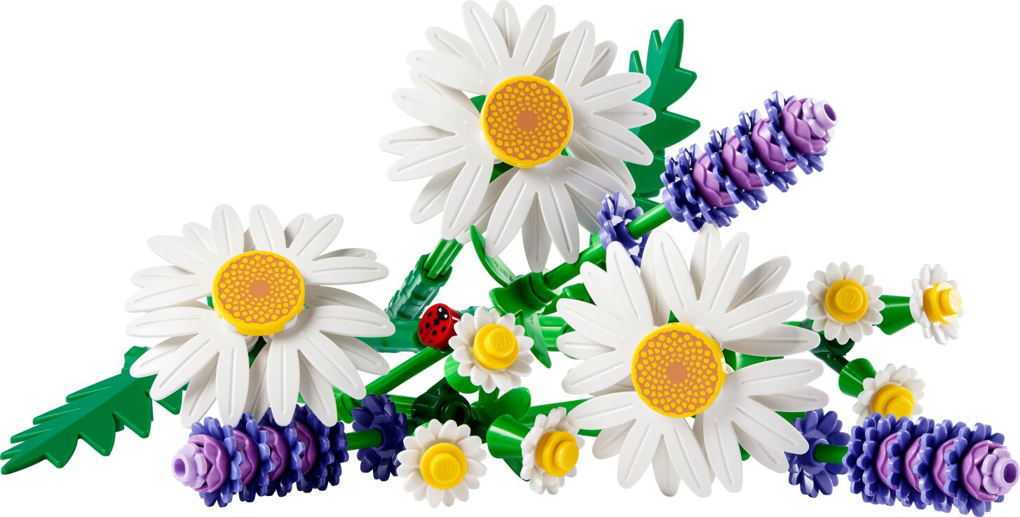 LEGO Botanicals Daisies (11508) (1)