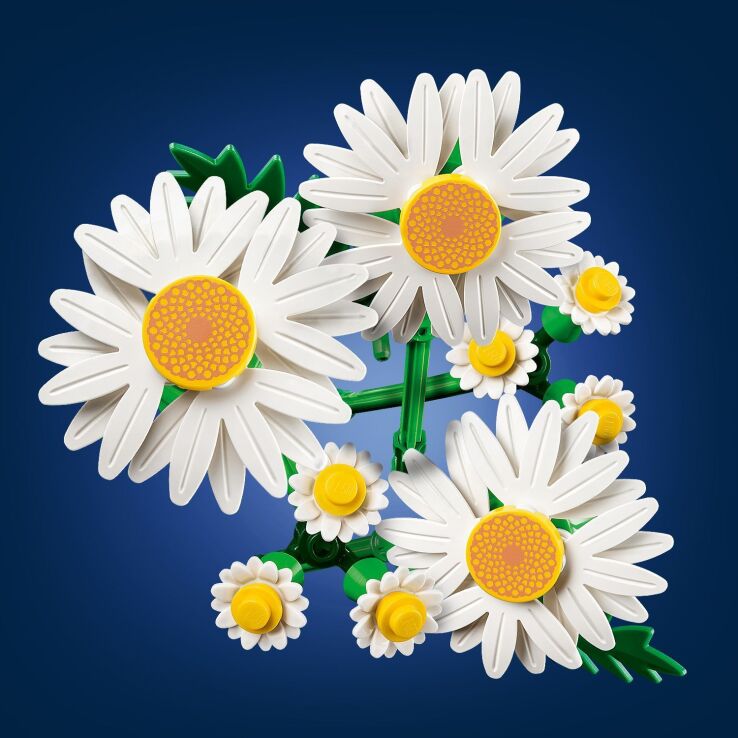 LEGO Botanicals Daisies (11508) (2)