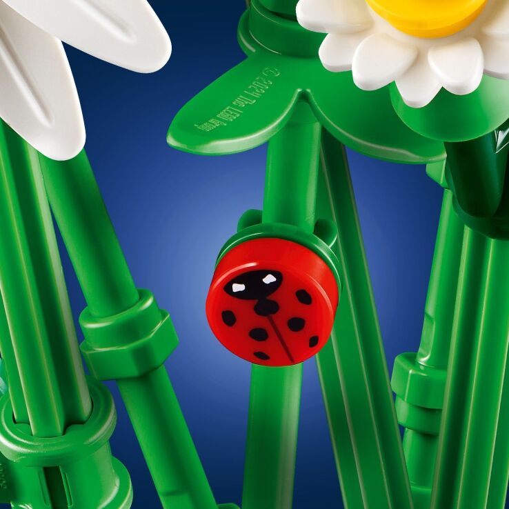 LEGO Botanicals Daisies (11508) (4)