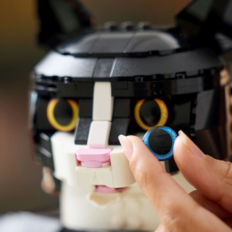 LEGO Ideas Tuxedo Cat (21349) (3)