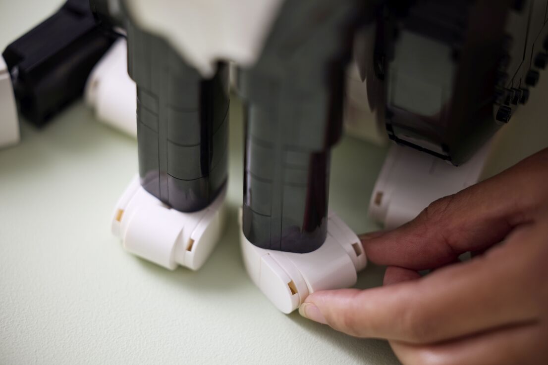 LEGO Ideas Tuxedo Cat (21349) (7)