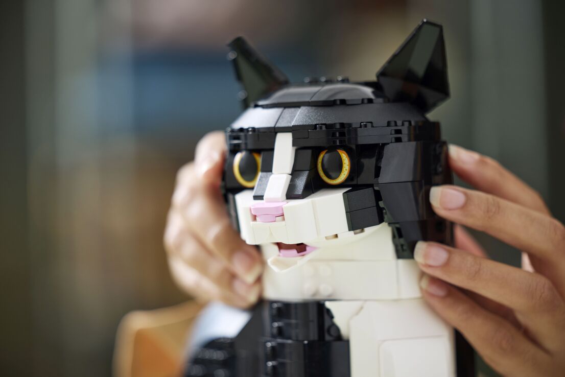 LEGO Ideas Tuxedo Cat (21349) (8)