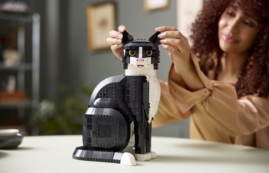 LEGO Ideas Tuxedo Cat (21349) (9)