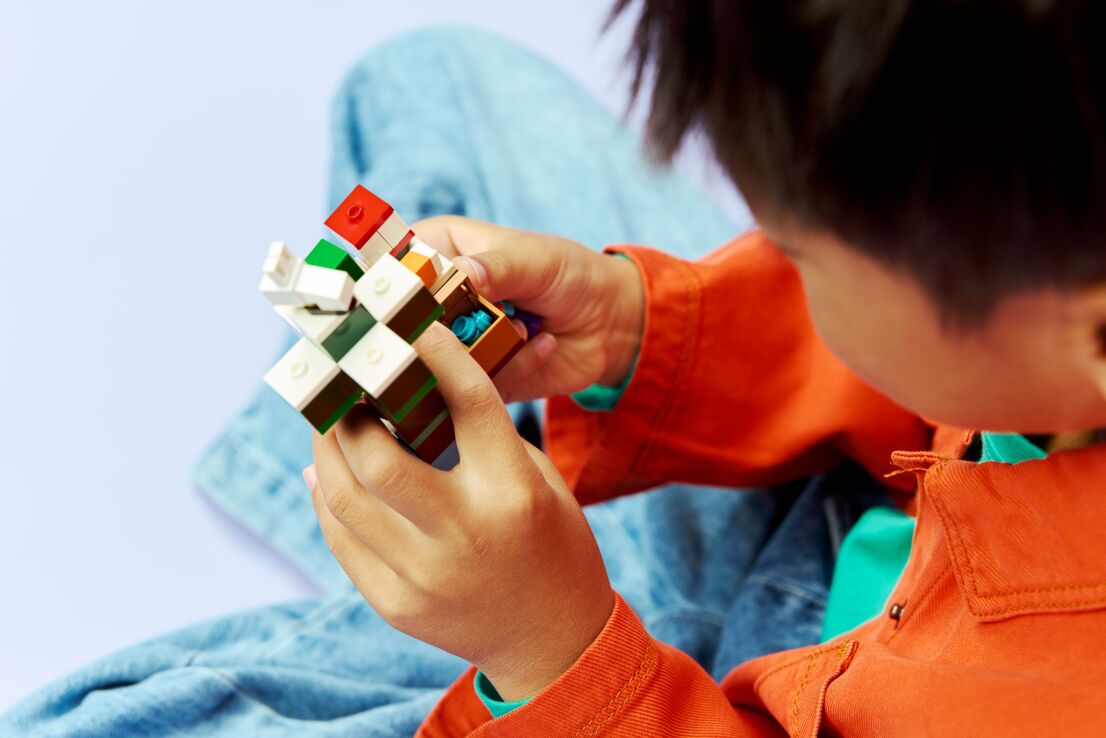 LEGO Minecraft Steve's Taiga Adventure (21583) (6)