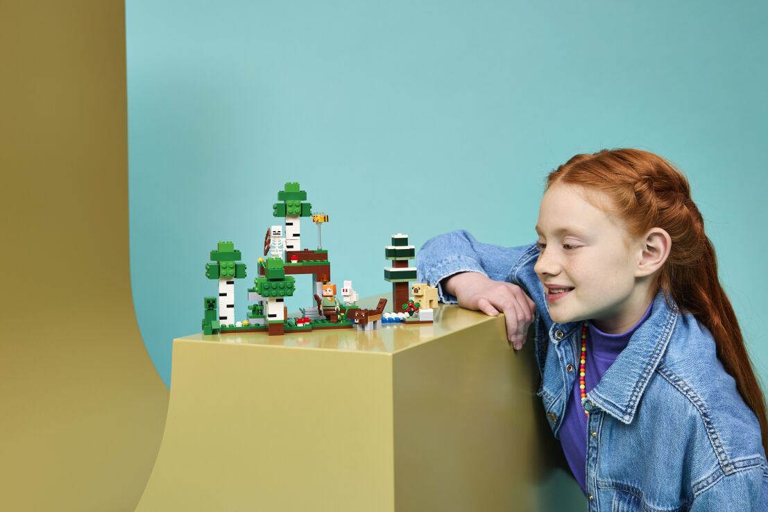LEGO® Minecraft First Night Adventure (21593) (10)