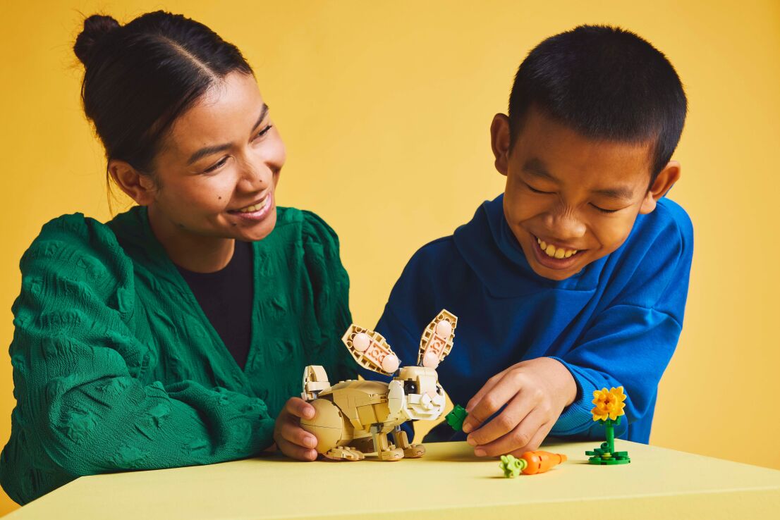 LEGO Creator 3in1 Cute Bunny (31162) (7)