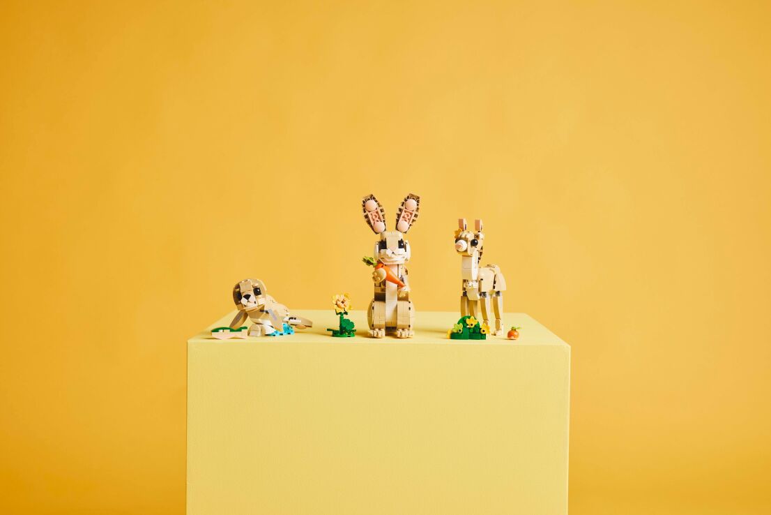 LEGO Creator 3in1 Cute Bunny (31162) (8)