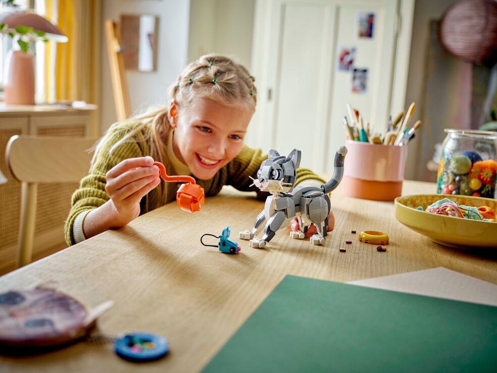 LEGO Creator 3in1 Playful Cat (31163) (6)