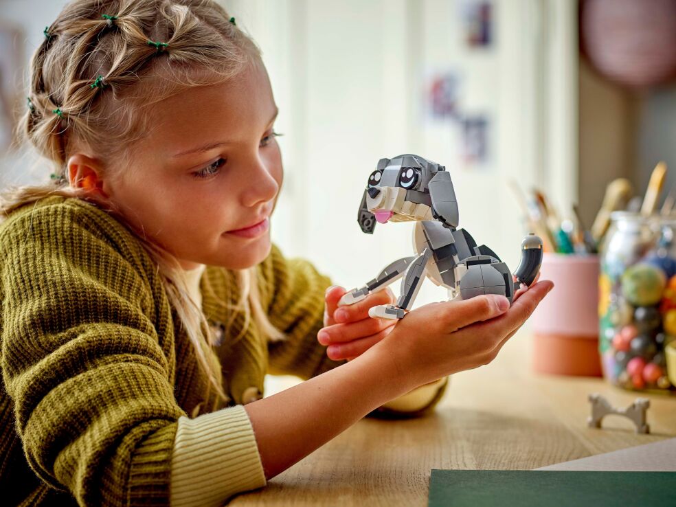 LEGO Creator 3in1 Playful Cat (31163) (7)