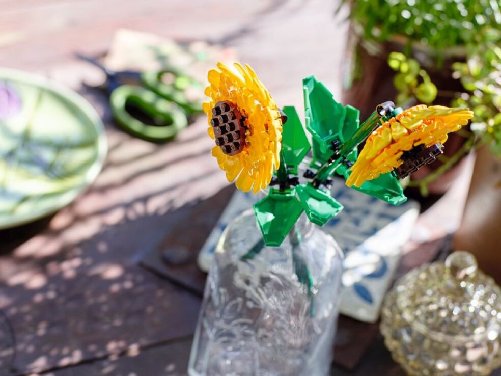 LEGO Botanicals Sunflowers (40524) (2)