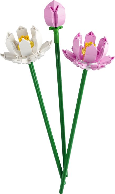 LEGO Botanicals Lotus Flowers (40647) (1)