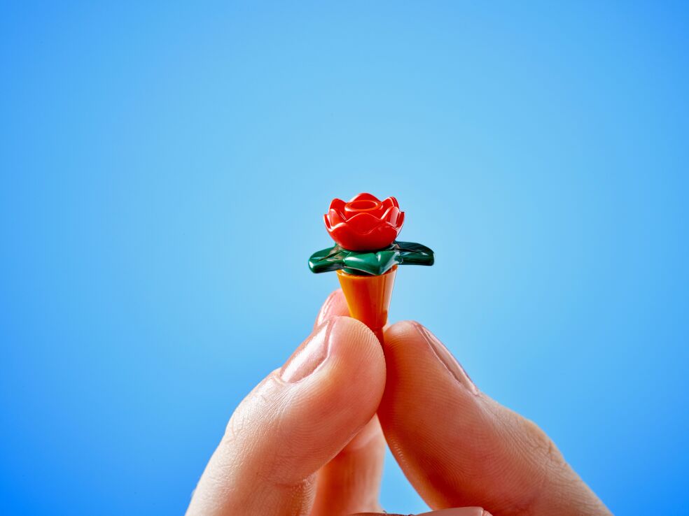 LEGO Friends Plant Cafe & Flower Shop (42671) (5)