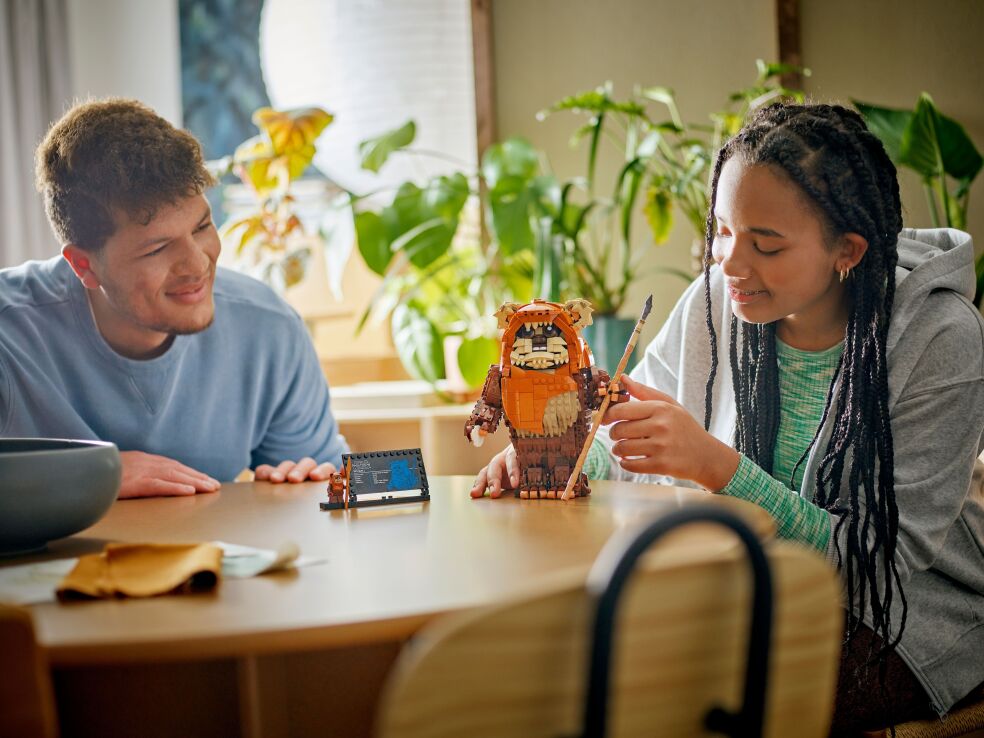 LEGO Star Wars Wicket The Ewok (75430) (6)