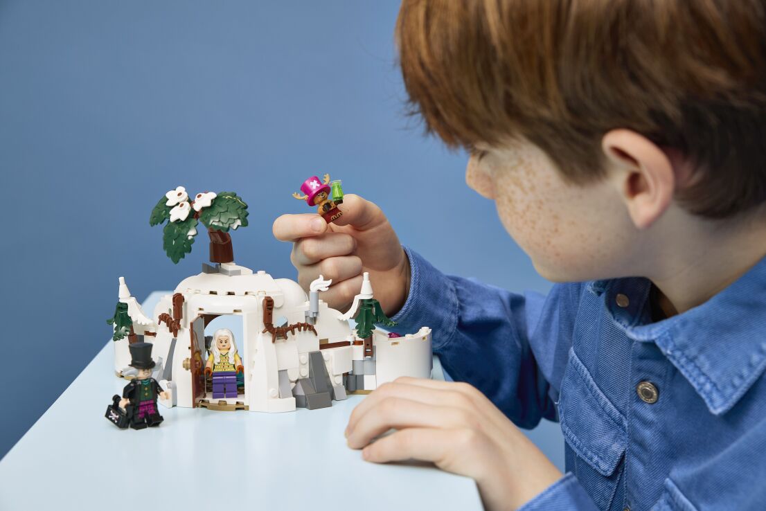 LEGO® One Piece Dr. Hiriluk's Hideout (75641) (6)