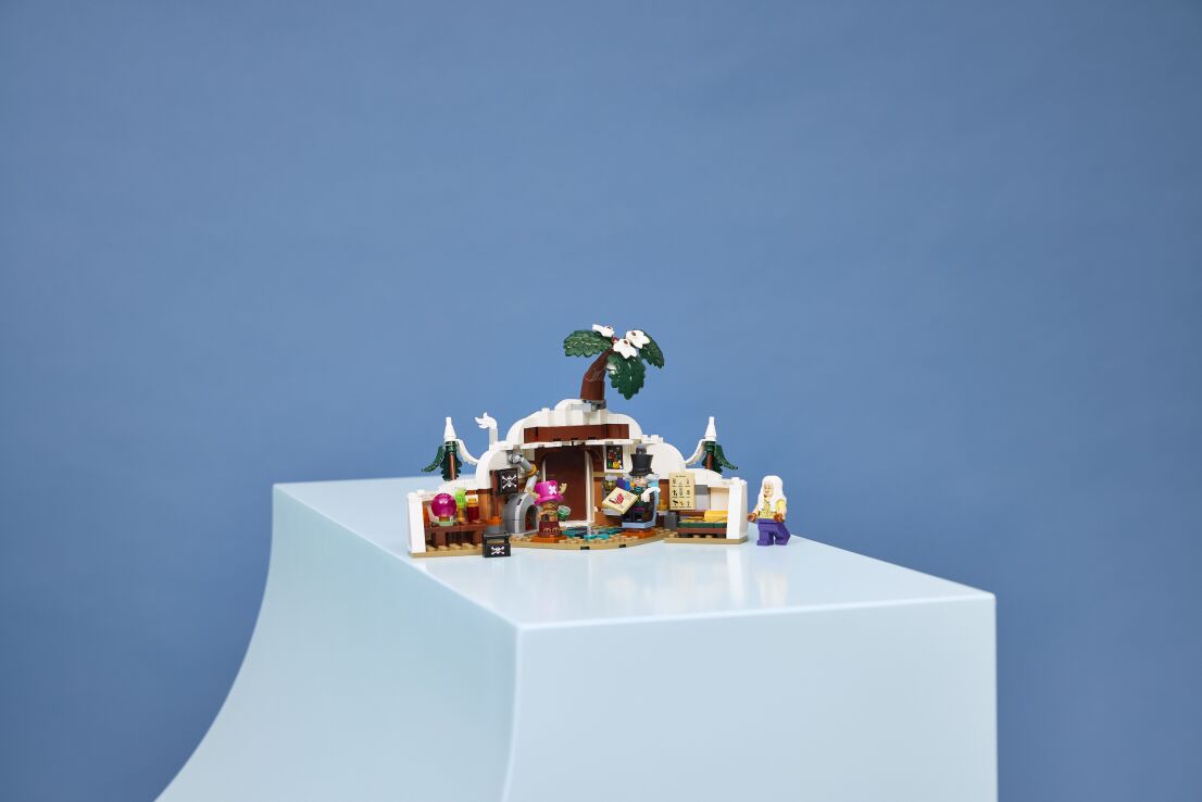 LEGO® One Piece Dr. Hiriluk's Hideout (75641) (7)