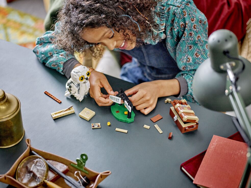 LEGO Harry Potter Hedwig At 4 Privet Drive (76425) (2)