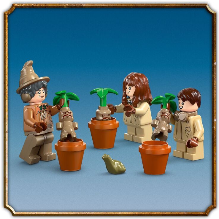 LEGO Harry Potter Hogwarts Castle: Herbology Class (76445) (4)