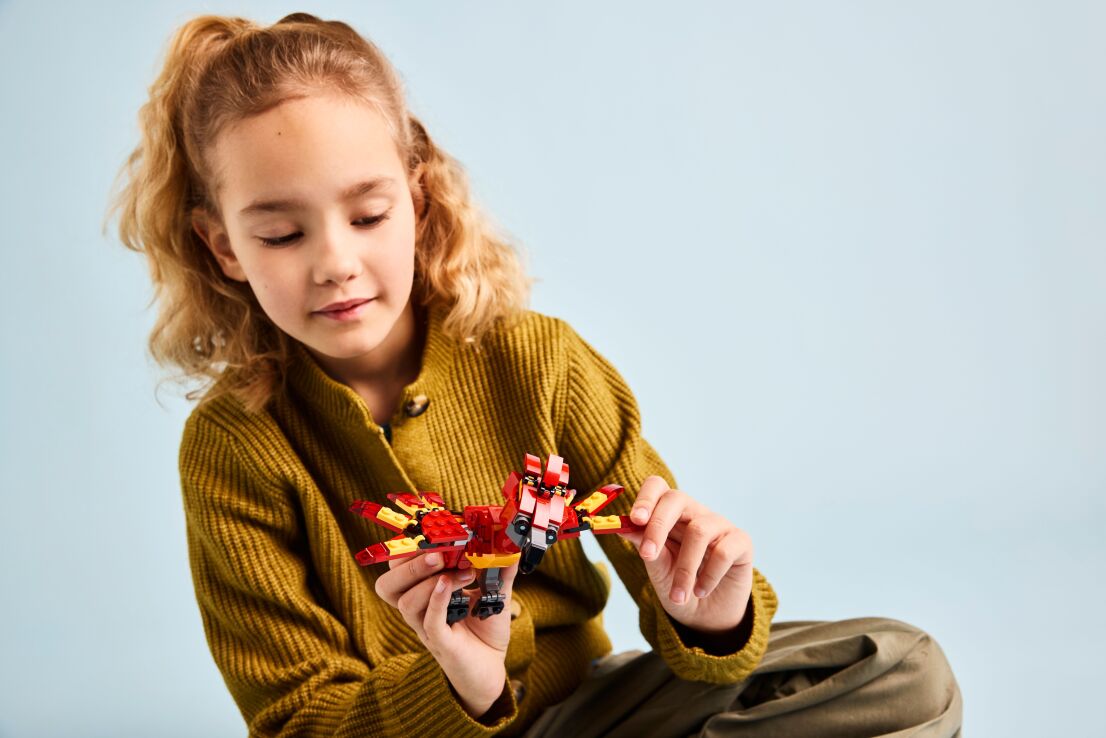 LEGO Harry Potter Fawkes: Dumbledore's Phoenix (76448) (6)