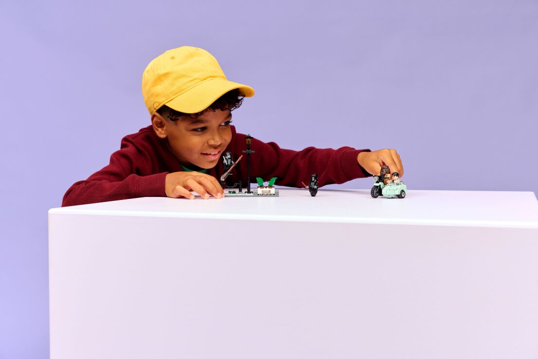 LEGO Harry Potter Hagrid & Harry's Privet Drive Escape (76459) (6)