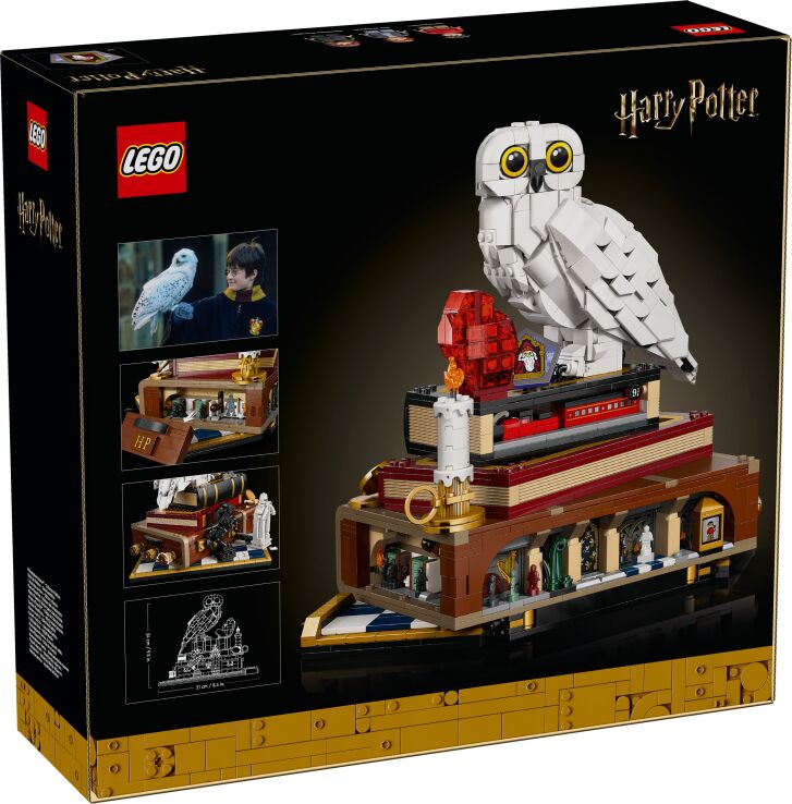 LEGO Harry Potter Sorcerer's Stone-Collector's Edition (76466) (13)