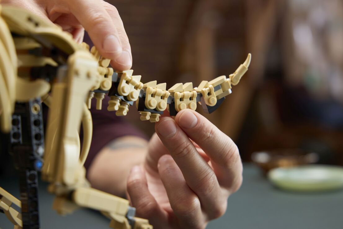 LEGO® Jurassic World Dinosaur Fossils: Triceratops (77985) (4)