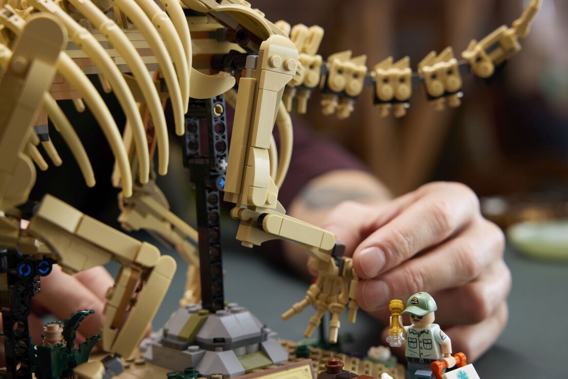 LEGO® Jurassic World Dinosaur Fossils: Triceratops (77985) (5)