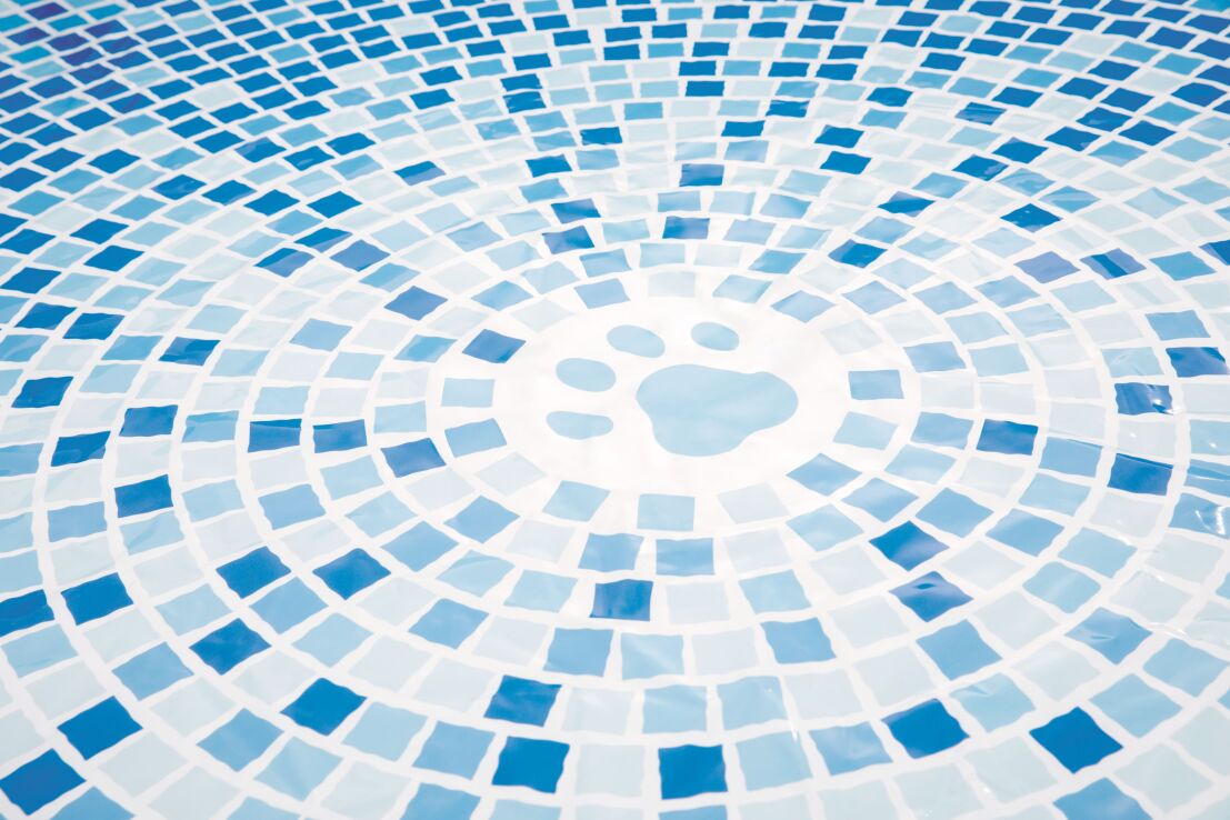 Intex Πισίνα-Pet Pool 1.52m x 30m (48400NP) (2)